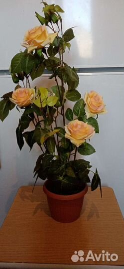 Новые цветы в горшочке - розы, 2 вазы - новые