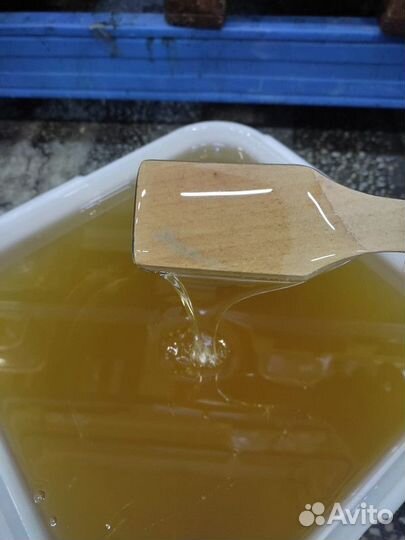 Свежий натуральный липовый мёд Только опт