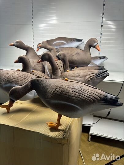 Чучела гусей 8штук