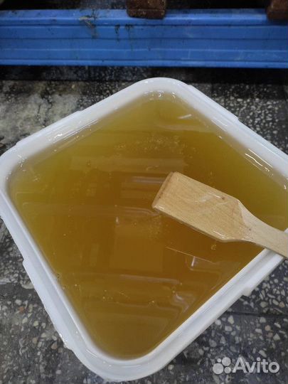 Мёд акация свежий опт