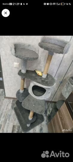 Когтеточка домик для кошки бу