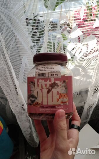 Вещи для грызунов