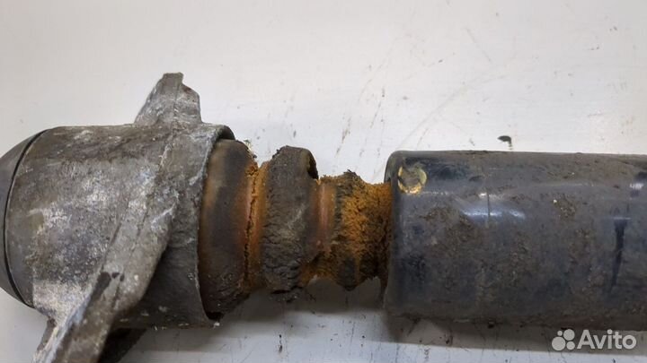 Амортизатор подвески Skoda SuperB, 2012