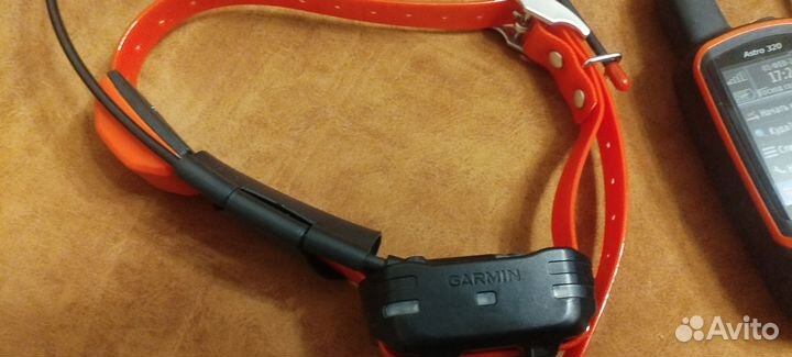 Garmin Astro 320 с ошейником Т5 мини