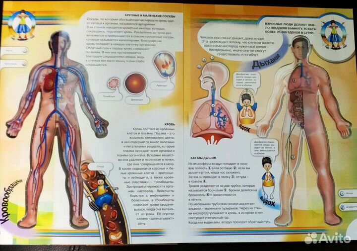 Детская энциклопедия 