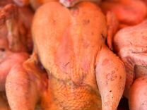 Мясо домашней курицы
