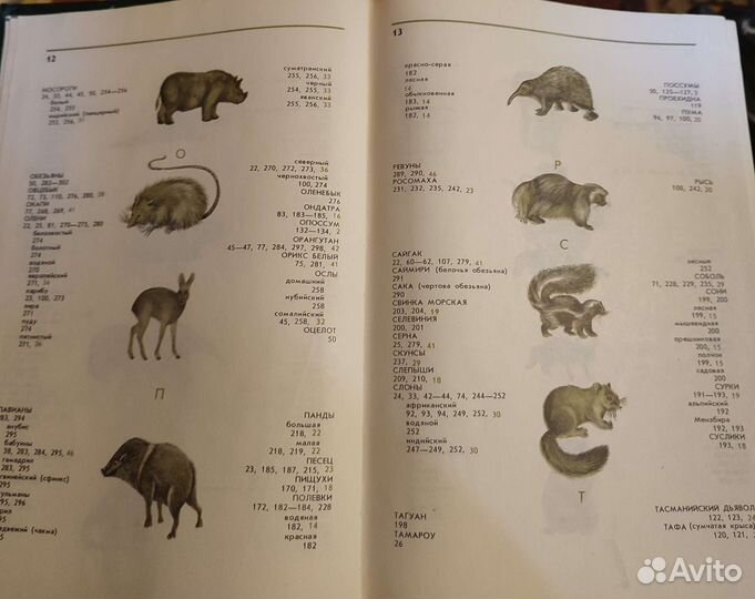 Ю. Дмитриев Соседи по планете млекопитающие