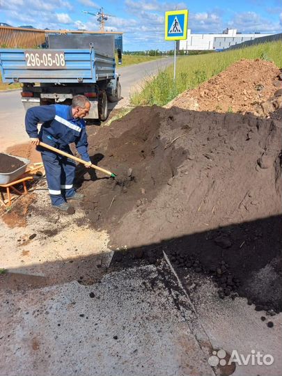 Перегной конский, перегной коровий