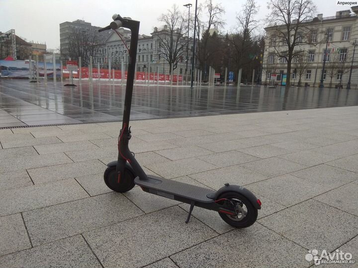 Самокат взрослый ксиоми м365про