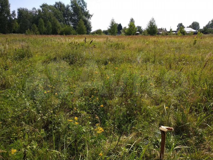 Участок 10 сот. (ИЖС)