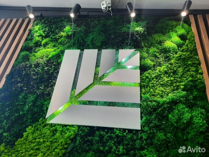 Панели из мха для декора по вашим размерам