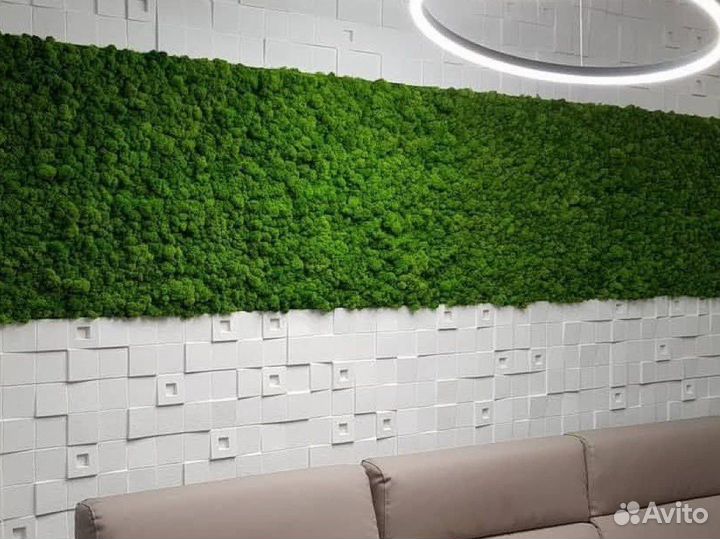 Стабилизированный мох