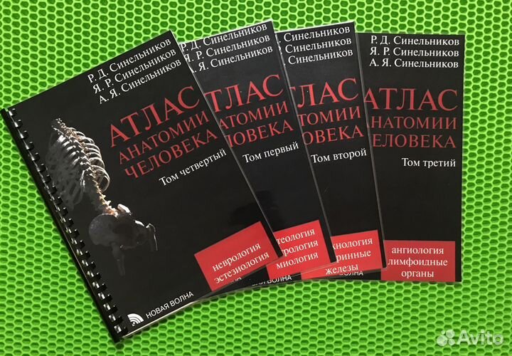 Атлас анатомии человека Синельников