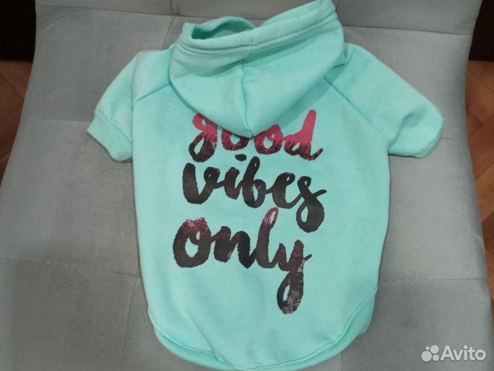 Одежда для собак мелких пород