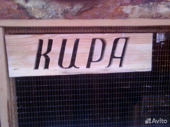 Таблички на вольер