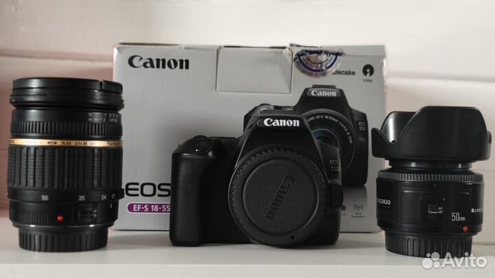 Canon 250d + 2 светосильных объектива