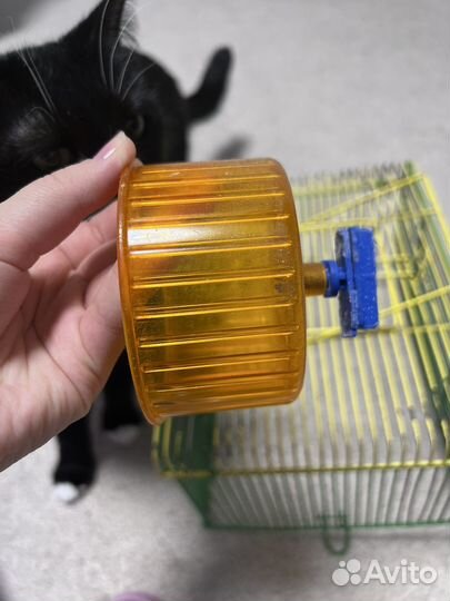 Принадлежности для хомяка