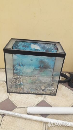 Аквариум