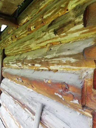 Дом 30 м² на участке 13,7 сот.