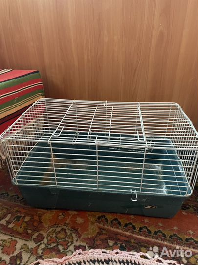 Клетка для кролика