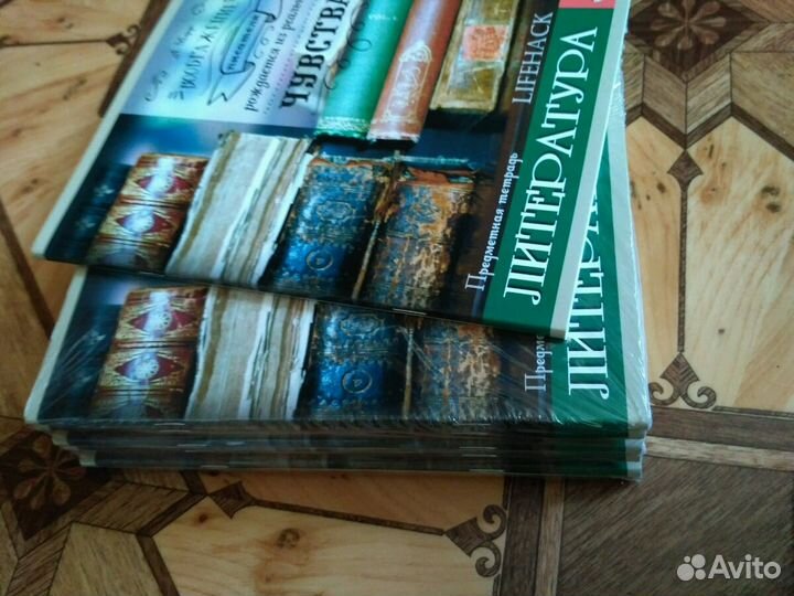 Тетрадь георгафия и литература