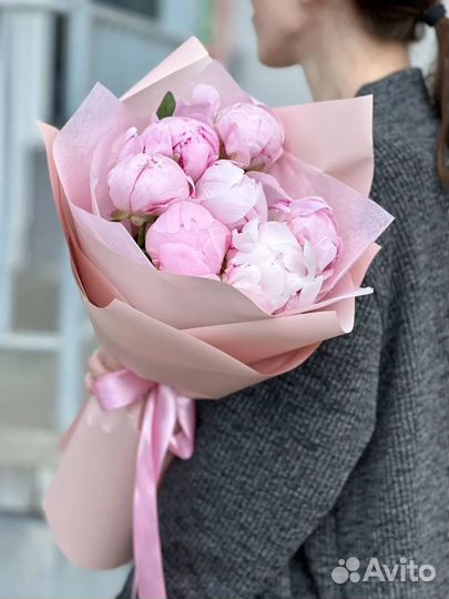 Голландские Пионы в наличии