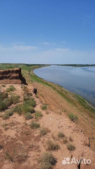 Выезд на рыбалку/природу