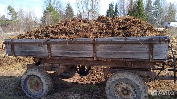 Навоз коровий