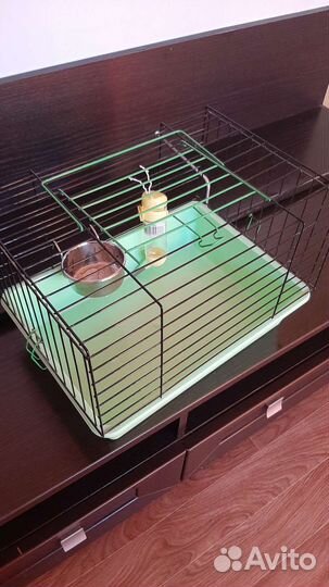 Клетка для морской свинки