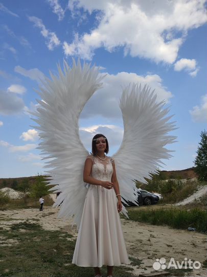 Крылья ангела в аренду