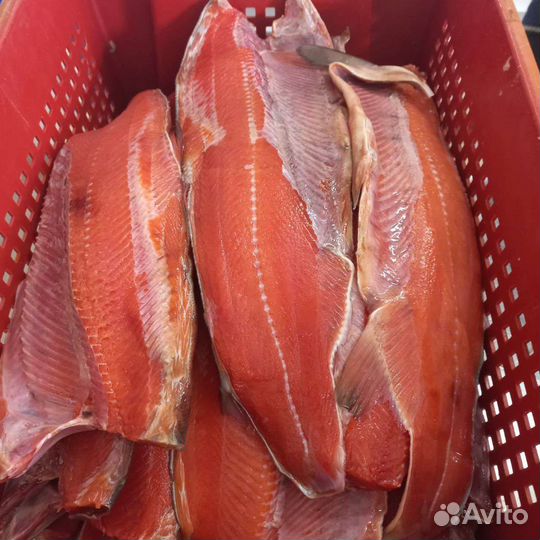 Лосось Тихоокеанский