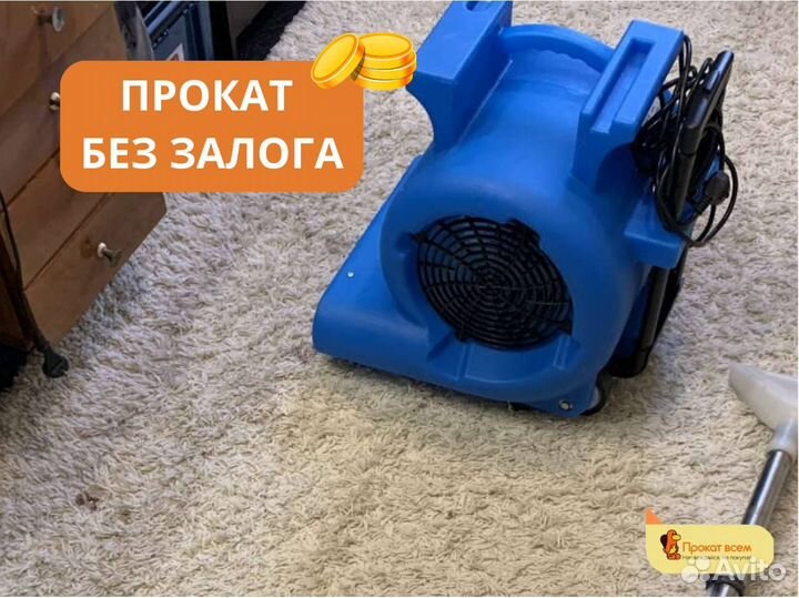 Профессиональный фен для сушки ковров