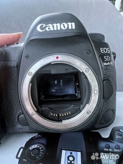 Фотоаппарат Canon 5 D Mark iv + 85mm 1.4
