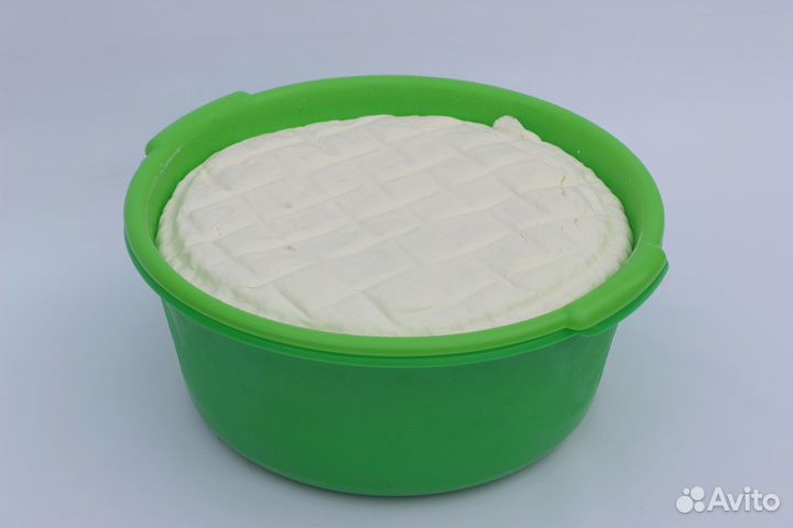 Творог Оптом