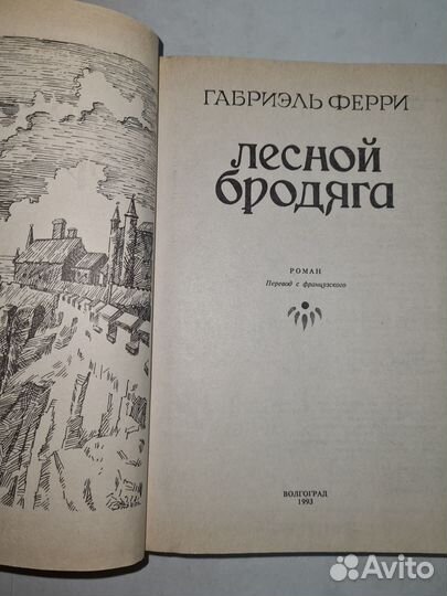 Книга. Лесной бродяга. Габриэль Ферри