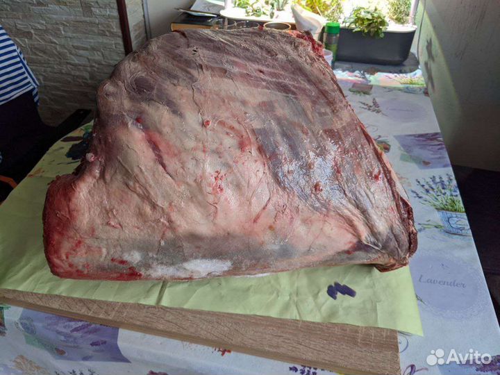 Оленина (Воркута)