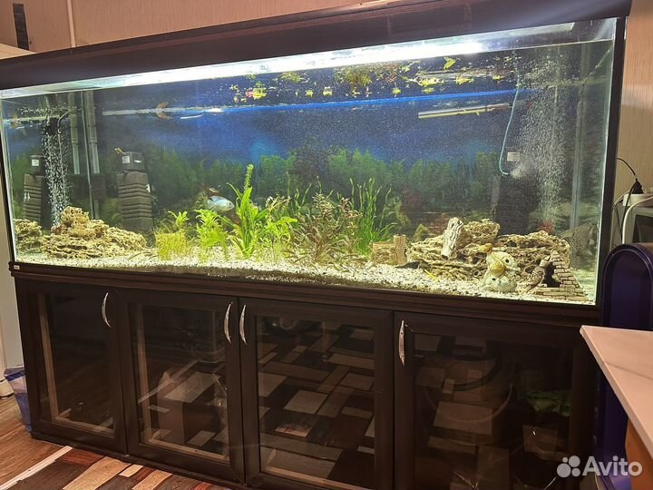 Аквариум