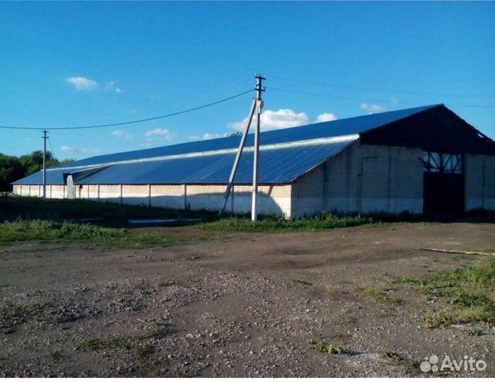 Рабочий свинокомплекса (Вахта)