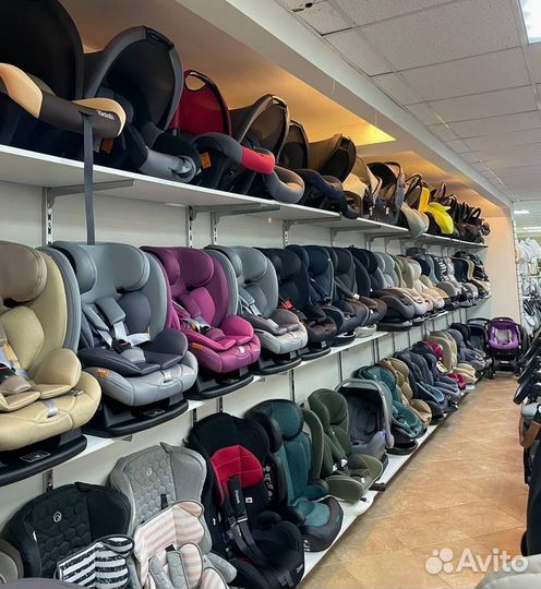 Коляска 2в1 Charlotte Sity (т.сер+фиолетовый)