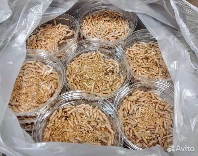 Прикормка на Леща : Dunaev-Flagman-Klevo