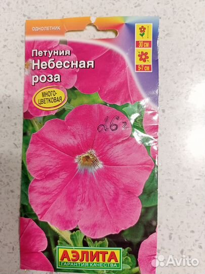 Петуния, рассада