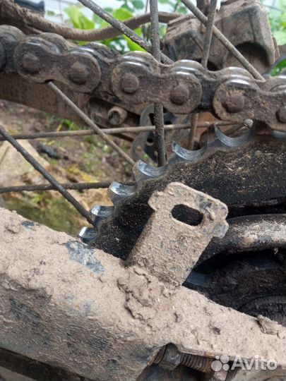 Ирбис ттр 250