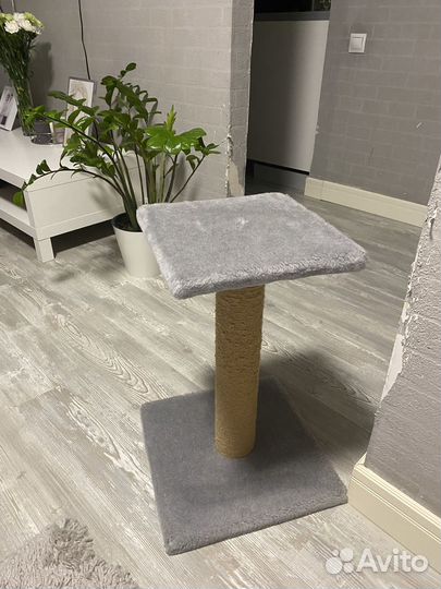 Когтеточка