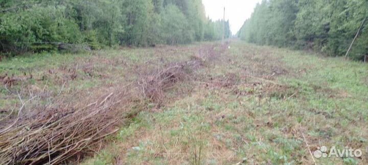 Требуются рабочие на расчистку лэп