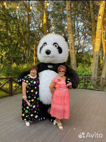 Панда/Аниматоры/Панда поздравление