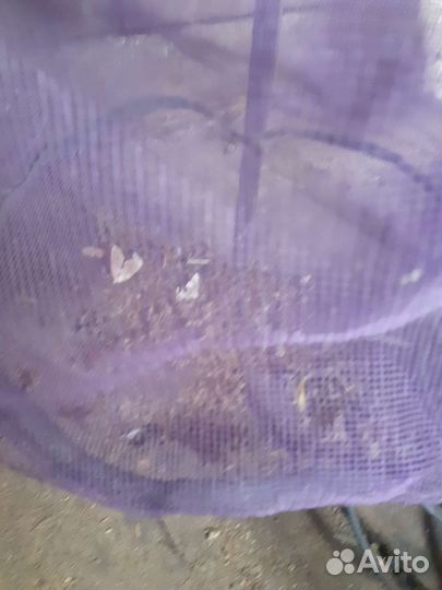 Уничтожитель комаров и насекомых Gfad Black G1