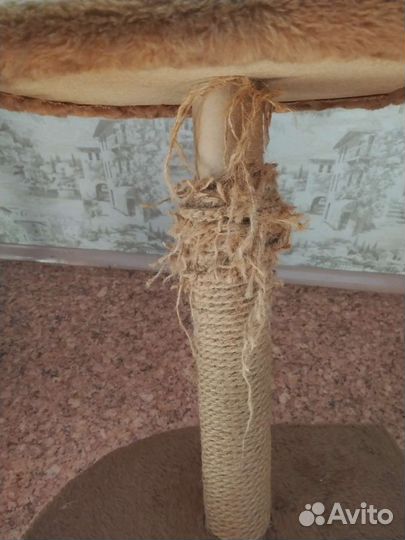 Когтеточка с домиком