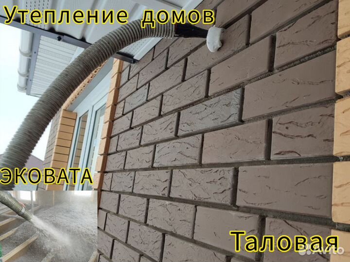 Утепление стен пеноизолом. Утепление дома эковатой