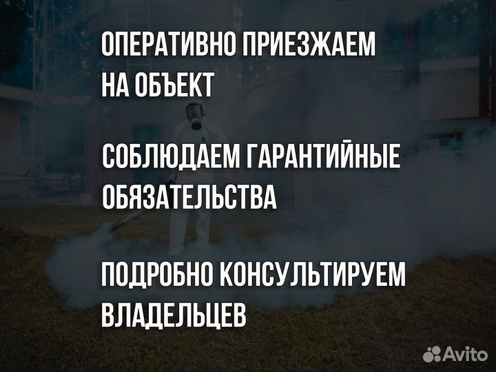 Дезинфекция, уничтожение насекомых/вредителей