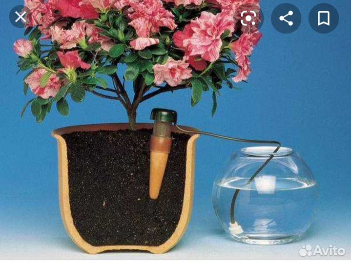 Устройство для капельного полива комнатных растени